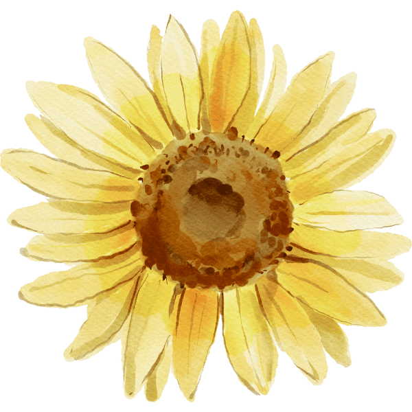 sonnenblume im hintergrund