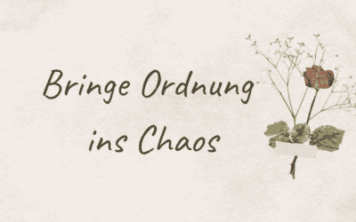 Bringe Ordnung ins Chaos